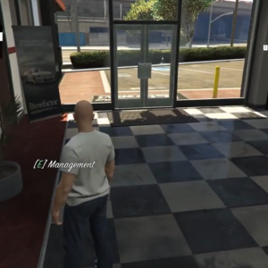 Vehicle Shops